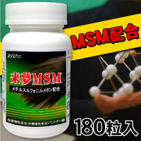 来夢MSM