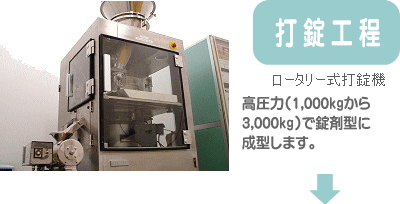 打錠工程。（ロータリー式打錠機）高圧力（1,000kgから3,000kg）で錠剤型に成型します。